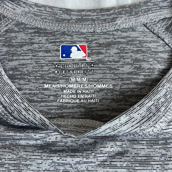 Detroit Tigers Men’s Graphic T-shirt Medium Gray Blue - Picture 12 of 13